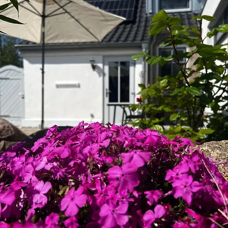 Ferienwohnung Sonnentraum Bannesdorf Exterior foto
