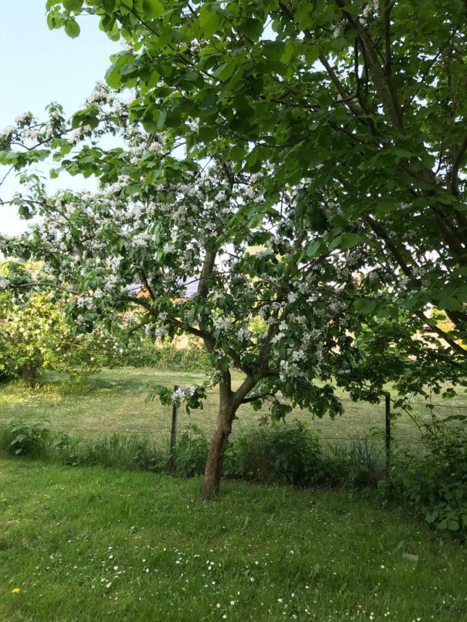 Sonnentraum Appartement Bannesdorf